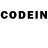 Псилоцибиновые грибы GOLDEN TEACHER Joydeep Kar