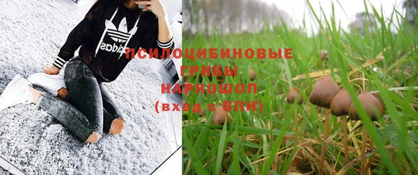 дурь Бронницы
